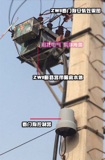 ZWHF-12分界真空断路器